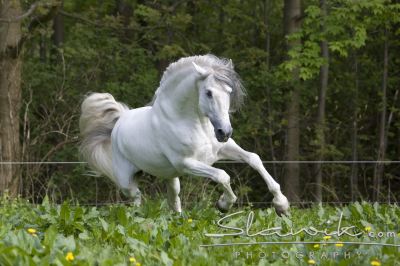 1fb4fb166f_73944673_o2