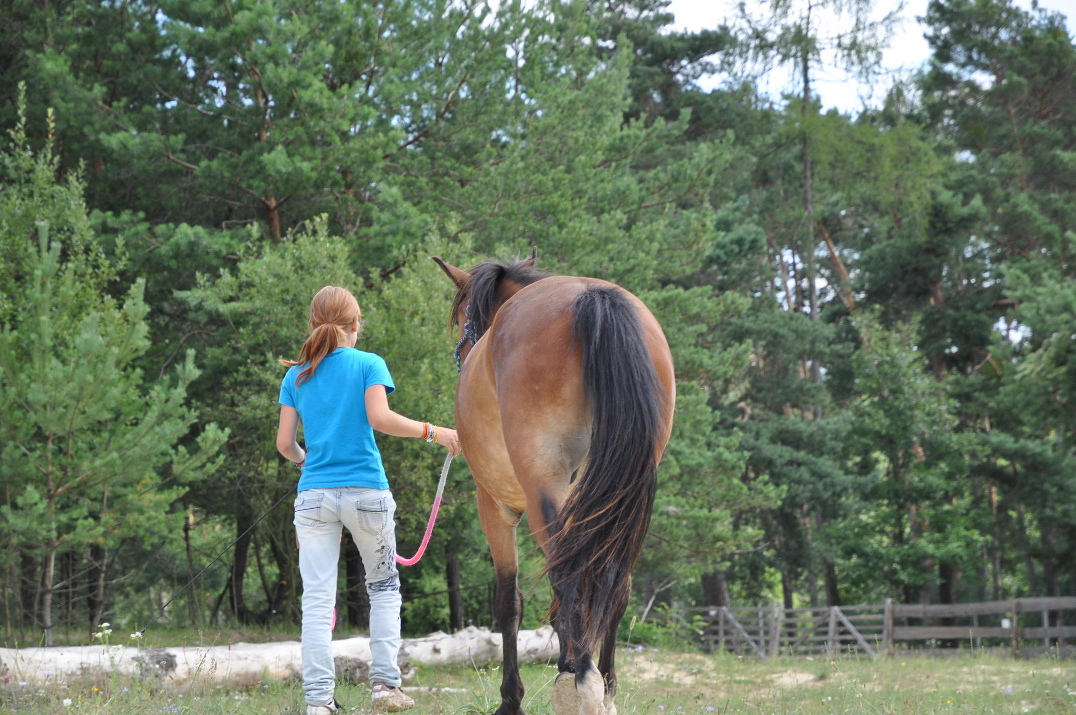 3bf67cb6a2_88777358_o2