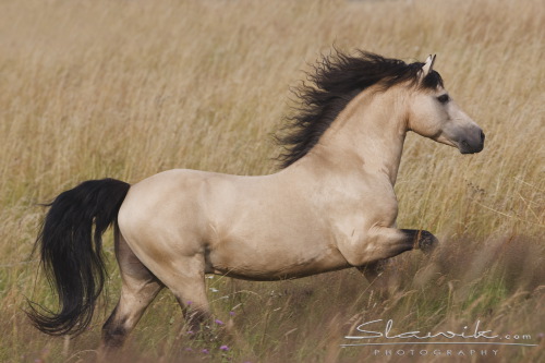 6718d40bcf_78570731_u